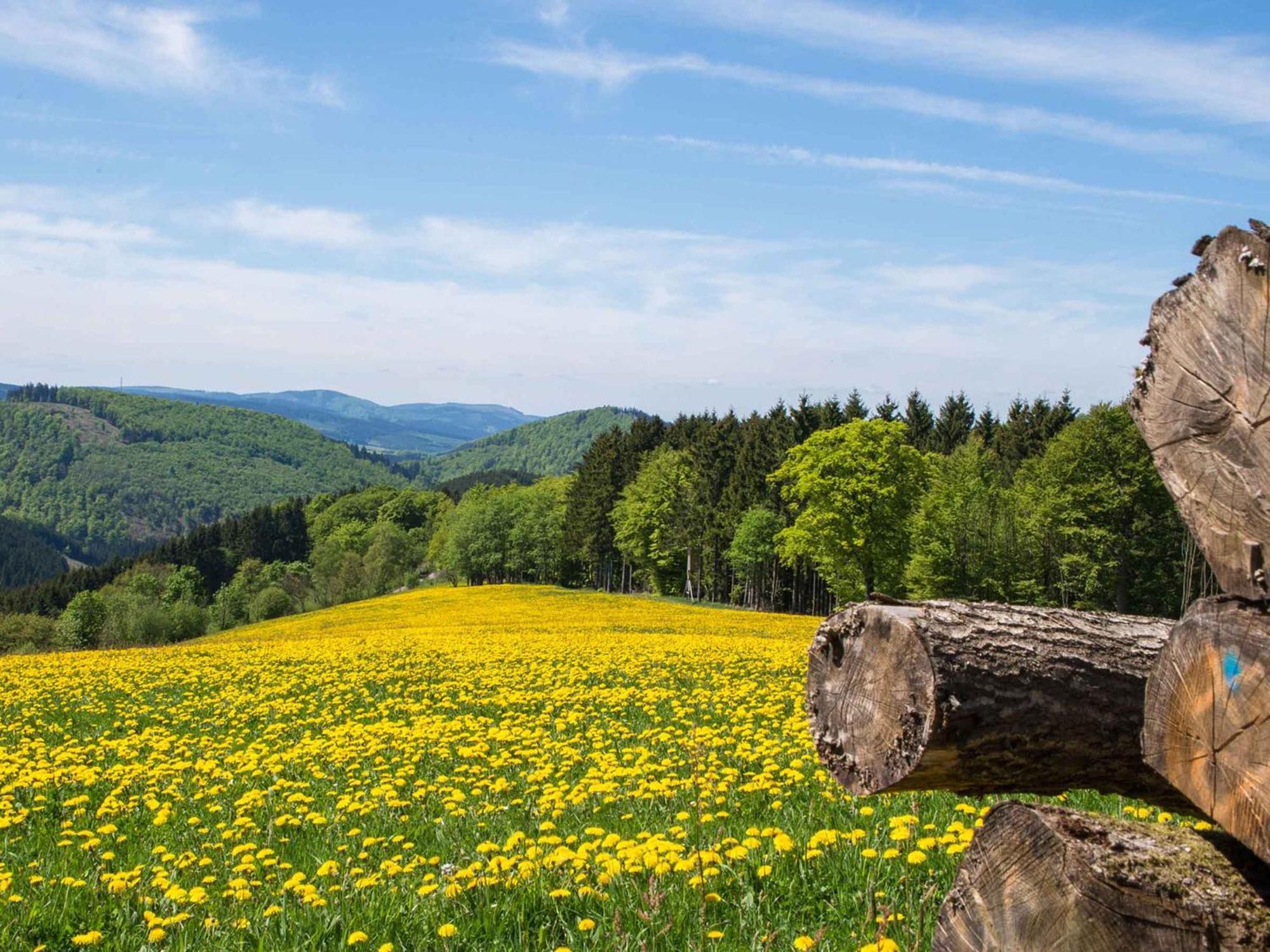 Ferienwohnung Zur Basemicke Schmallenberg Dış mekan fotoğraf